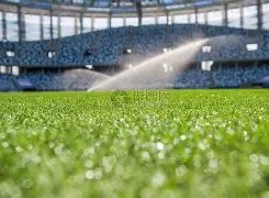 警方严令,毒品涉事明,星不得重返,MG官网,MG入口,MG平台,MG官方