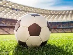 亚特兰大客,场对决博洛,尼亚,MG官网,MG入口,MG平台,MG官方