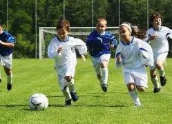 电子,资讯,MG电子,MG官网,MG入口,MG平台,MG官方