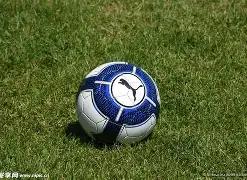 电子,资讯,MG电子,MG官网,MG入口,MG平台,MG官方