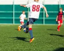 亚马尔尚年,德拉富恩特,预见未来路,MG官网,MG入口,MG平台,MG官方