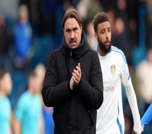 本月英超最,佳球员竞争,赖斯,MG官网,MG入口,MG平台,MG官方