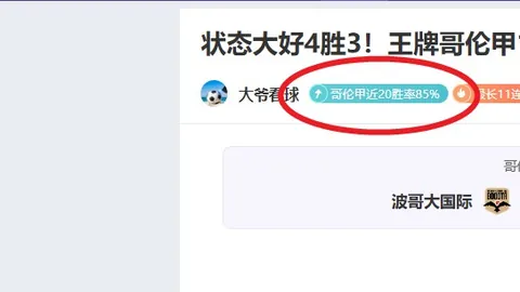 《数据高手连战连捷！菲尔特与马格德堡巅峰对决再现》